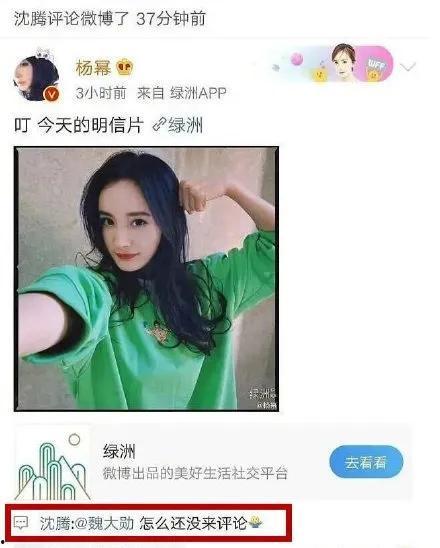 娱乐圈吃瓜模板制作视频,明星们的幕后故事，吃瓜群众必看！